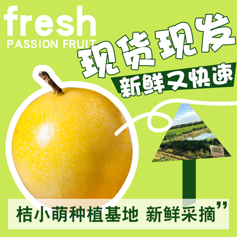 桔小萌新鲜黄金邮孕妇百香果图片_1