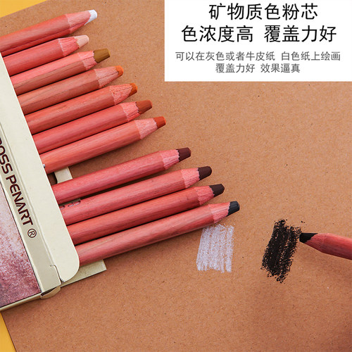 普乐斯色粉铅笔肖像系12色肤色专业绘画色粉水溶彩铅笔暗色系碳画 - 图1