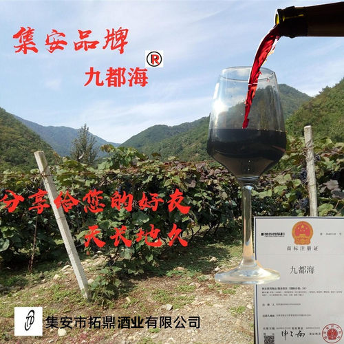 通化集安北冰红山葡萄酒九都海霜冻红葡萄酒国产简包桶装甜型红酒 - 图3