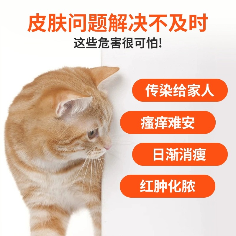 摩登狗真菌克星宠物猫癣狗藓专用猫咪皮肤病喷剂过敏皮炎感染外用-图3