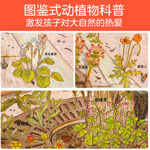 一起去路边种花唯美漫画画风绘本发现小幸福系列低幼儿童3-6岁精装绘本阅读幼儿园早教书睡前故事培养宝宝观察力想像力书籍 - 图2