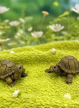 跨境北欧风树脂工艺摆件卡通创意乌龟青蛙微景观花园装饰品小摆件