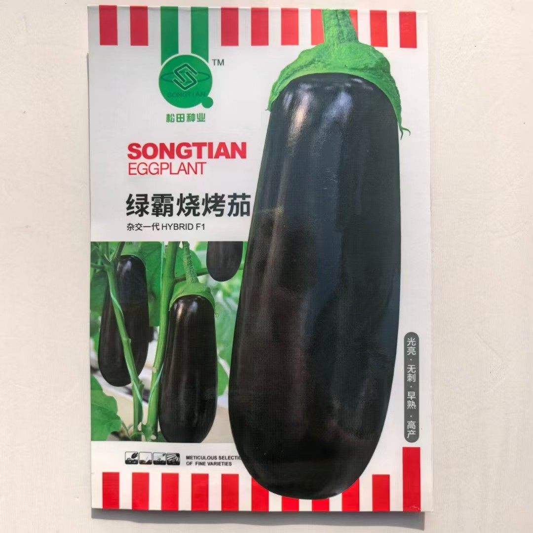 烧烤茄种子黑皮粗棒紫黑长茄种子烧烤茄子大田抗病高产茄子籽,淘宝优惠券,粉丝福利购,淘宝优惠卷