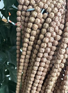 2026天然迷你佛手小金刚菩提五爪金龙小佛手金刚多圈高密红皮佛手