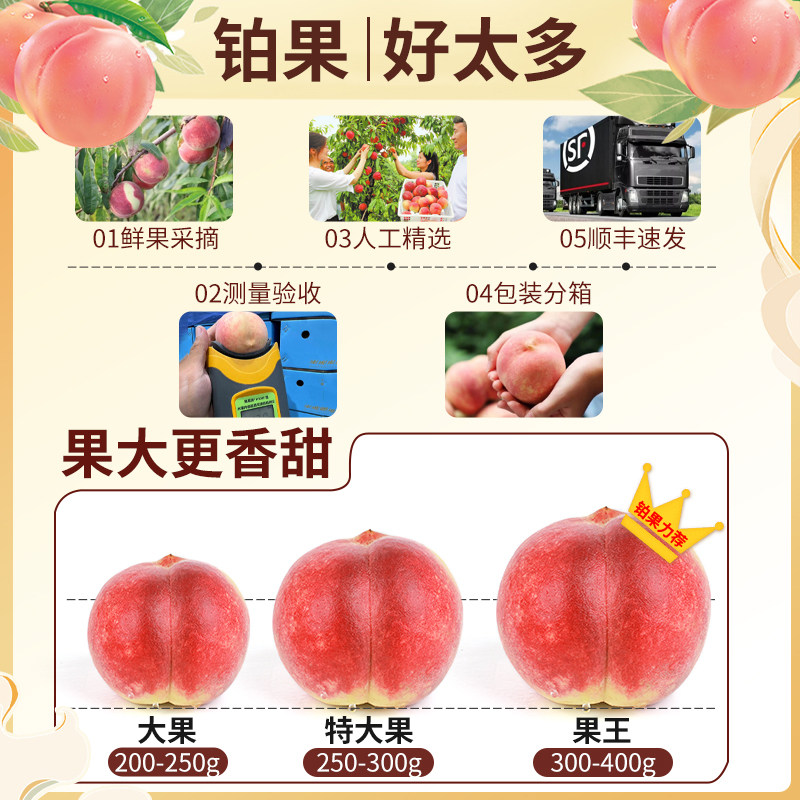 顺丰大果5斤进口澳洲水蜜桃应季桃子新鲜水果香甜脆现货整箱包邮,淘宝优惠券,粉丝福利购,淘宝优惠卷