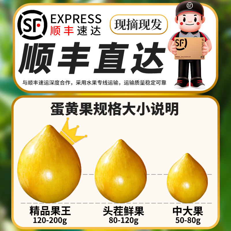 顺丰 5斤海南蛋黄果新鲜水果云南特产应当季鸡蛋果黄金果整箱包邮
