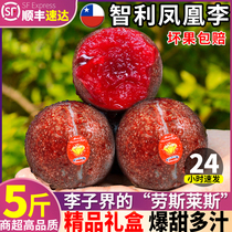 Cisfeng Gift Boxes 5 catty Chilean imports Phoenix Li Fresh Li Ziyuan Fruit When the season Red Heart Li Fear Dragon Egg