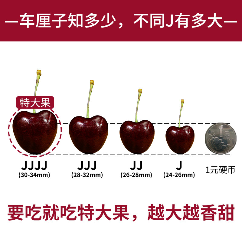 空运科迪亚Kordia智利车厘子新鲜水果5斤4j3进口樱桃礼盒顺丰包邮