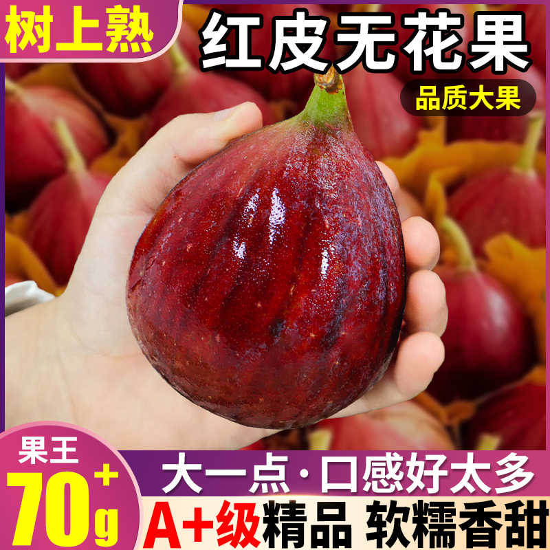 無花果皮 Top 500件無花果皮 23年1月更新 Taobao