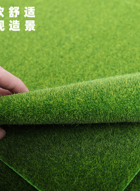 青苔植物植绒苔藓装饰微景观盆景盆栽铺面生态瓶藓仿真草坪垫绿色