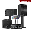 Qisheng Q10 home KTV audio set for home living room