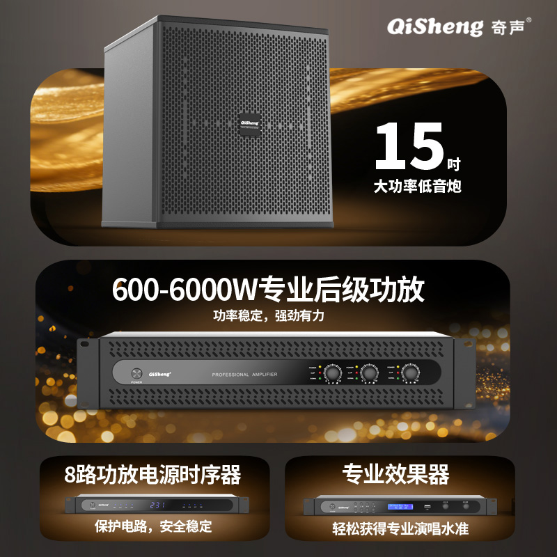 Qisheng Family KTV Audio Karaoke Set