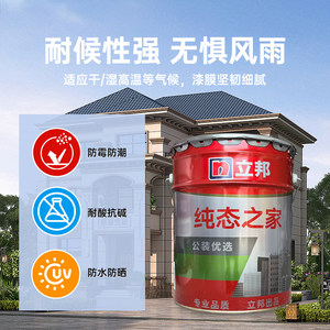 立邦纯态之家乳胶漆真石漆外墙耐候别墅自建房防水防晒翻新漆25kg