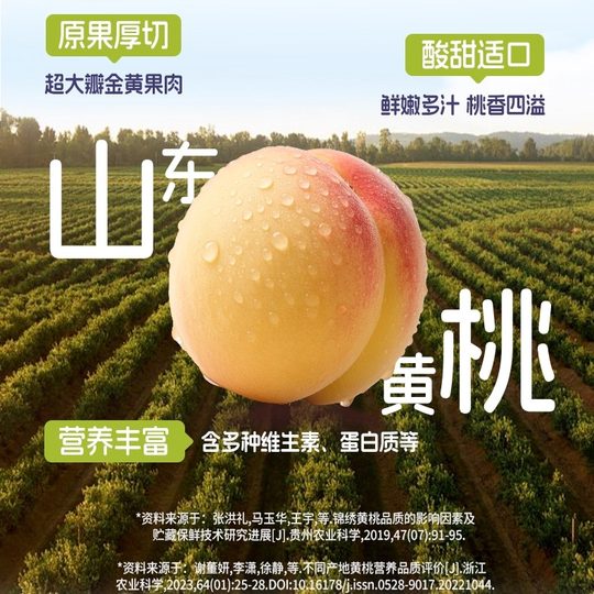 Grandpa's Farm Carne de ciruela pasa y albaricoque Sin azúcar añadido Sin conservantes añadidos Melocotón amarillo Fruta deshidratada Bocadillos saludables para niños