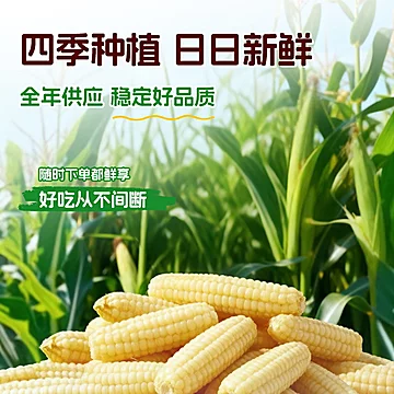 3盒送1盒正装！爷爷的农场拇指小玉米[6元优惠券]-寻折猪