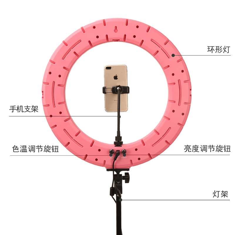 LED美容灯照脸补光灯纹绣专用纹身美甲纹眉睫毛无影护眼冷光落地 - 图2