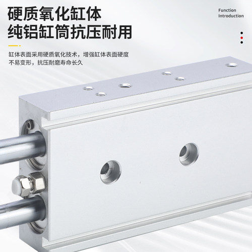 双轴双杆气缸TR10/16x10X20X25X30X35X40X50X60X70X75X80X100-S - 图0