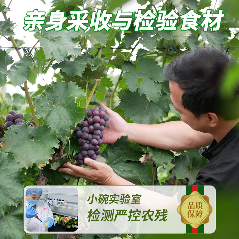 小碗良食16道果蔬萃 复合浓缩果蔬汁果汁饮料 苹果蔬菜汁液体沙拉,淘宝优惠券,粉丝福利购,淘宝优惠卷