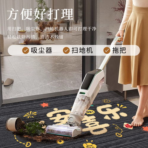 入户门地垫2026新款地毯大门口进门垫家用脚垫门外高级感耐脏室内 - 图0