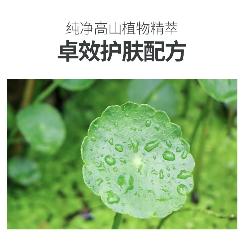 植物医生积雪草特护喷雾保湿爽肤水 植物医生网鸿化妆水/爽肤水