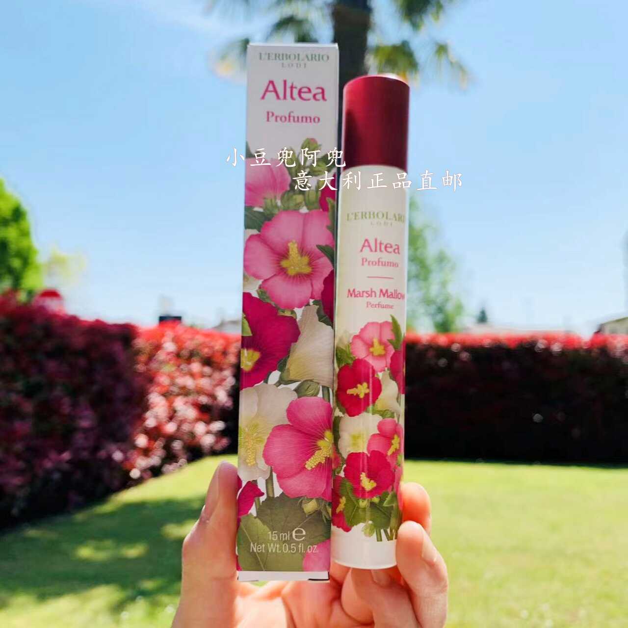 水葵花 新人首单立减十元 22年8月 淘宝海外 水葵花 新人首单立减十元 22年8月 淘宝海外