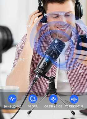 USB Microphone Condenser D80 Recording Microphone with Stand