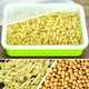 Seed Sprouter Tray PP Healthy Alfalfa Wheatgrass Seeds Grow