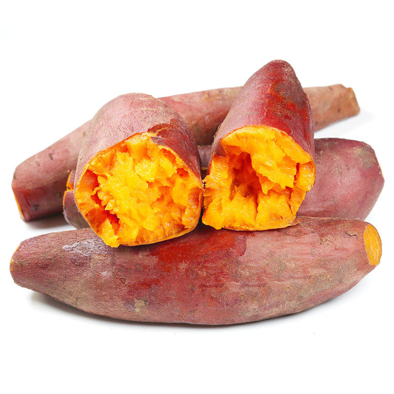 2021现挖新鲜9斤5沙地番薯10 百泰源番薯