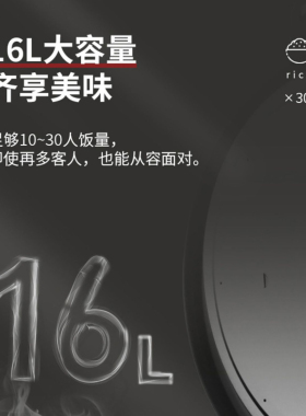 伊莱特电饭煲商用大容量16L