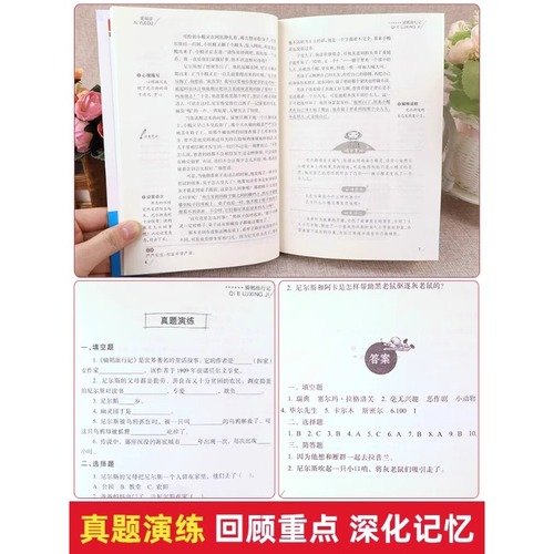 骑鹅旅行记尼尔斯骑鹅旅行记原著正版六年级下册必读的课外书老师推荐完整快乐读书吧人民教育出版社小学生书籍米威尼斯企鹅历险记