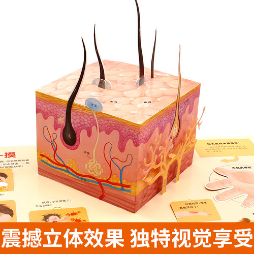 我们的身体儿童3d立体书正版揭秘系列机关推拉翻翻书2-3-4-6-8-12岁以上宝宝绘本书籍幼儿园性教育启蒙男女孩性别认知科普百科全书 - 图3