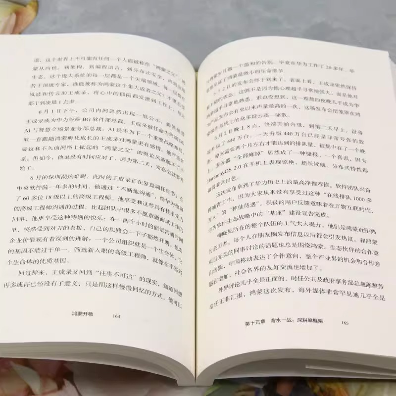 鸿蒙开物终端操作系统破晓之路首次完整记录鸿蒙系统从无到有到走向胜利之路一群普通人用勇气智慧决心和使命感完成一次IT史上壮举 - 图2