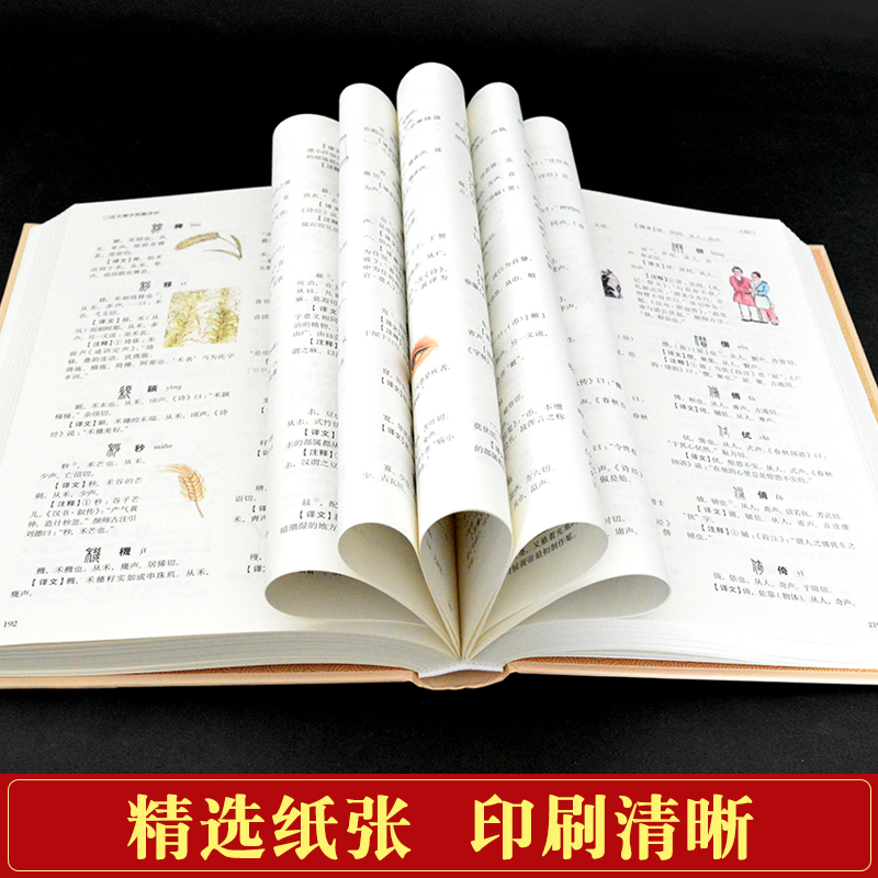 正版说文解字国学许慎原版540部首篆书字注解精装大字本图解详析今释正版全版说文解字大全集注解译文无删减小学生版畅销十二讲-图2