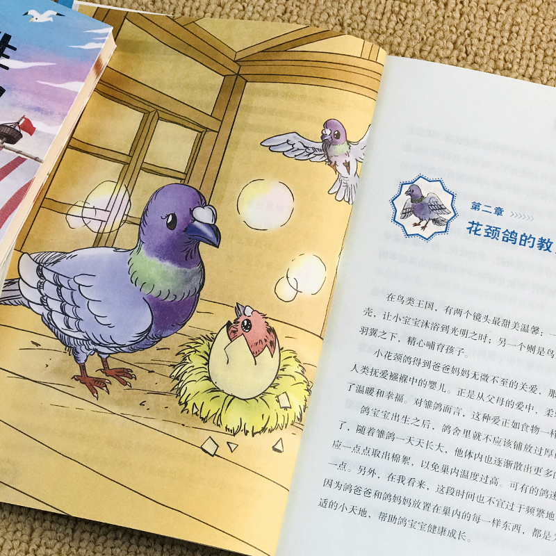 纽伯瑞国际儿童文学金奖小说 全套10册彩图兔子坡正版四年级阅读课外书籍必读小学生经典读物推荐系列三年级五上册六初中生老师456
