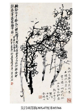 吴昌硕墨梅图花鸟画卷轴仿古画