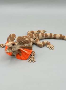 DIY定制-Frilled Neck Lizard 褶颈伞蜥关节可动仿生逼真科教模型