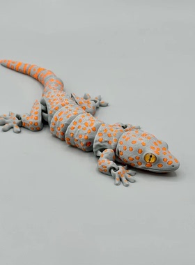 DIY定制-Tokay Gecko 大壁虎守宫 蛤蚧 模型全关节可动仿生科教