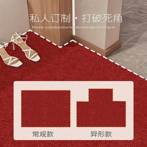 2026新款卡通入户门地垫玄关防滑脚垫大门口高级进门耐脏地毯垫子 - 图1
