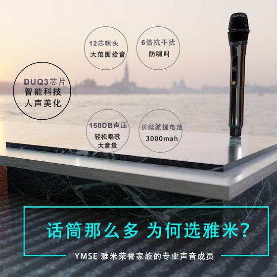 雅米塞尔无线麦克风一拖一二家用唱歌通用KTV音响专用声卡