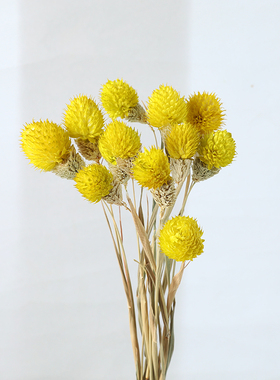 千日红干花花束客厅装饰摆设ins风diy花材真花插花生日礼物