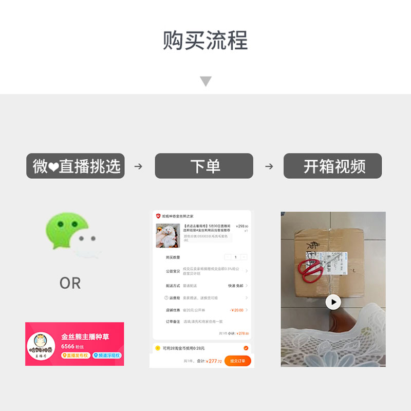 长毛金丝熊家养温顺原始虎纹金丝鼠健康活物包活好养不臭宠物仓鼠,淘宝优惠券,粉丝福利购,淘宝优惠卷