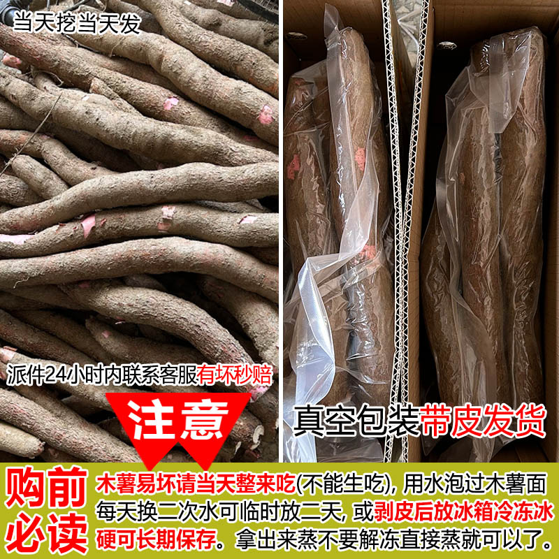 广西新鲜白肉生面包木薯种农家粉糯特产非海南即食黄心黄肉番薯苗 - 图3