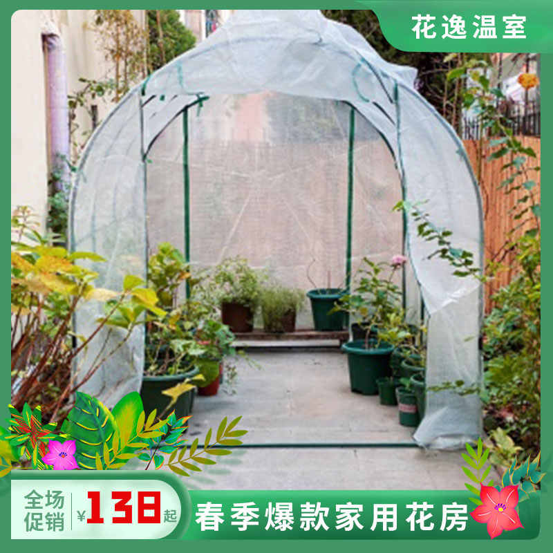 小型温室植物 新人首单立减十元 21年8月 淘宝海外
