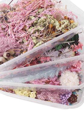 1 Box Dried Flower Dry Plants For Aromatherapy Candle Epoxy