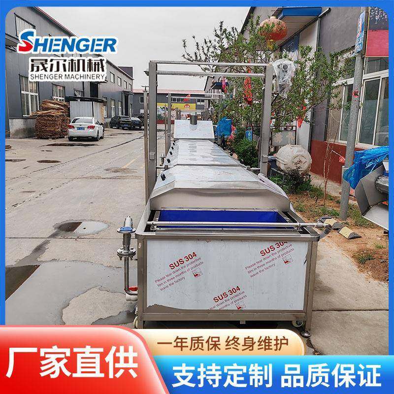 大型叶类蔬菜杀青护色机 黄桃漂烫机 提升水浴式竹笋漂烫机,淘宝优惠券,粉丝福利购,淘宝优惠卷