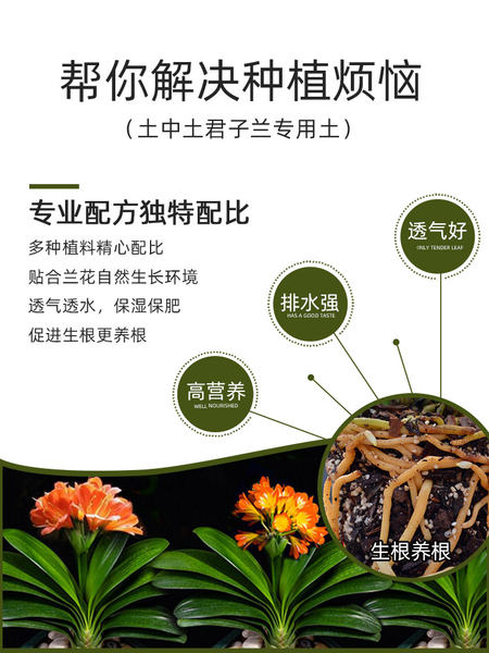 土中土君子兰土专用土透气家用肥料兰花植料君子兰专用营养土包邮 牌子网