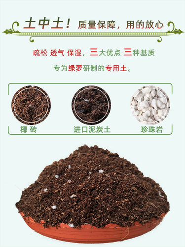 土中土绿萝土壤专用土营养土家用通用型发财树土壤透气泥炭土包邮 - 图1