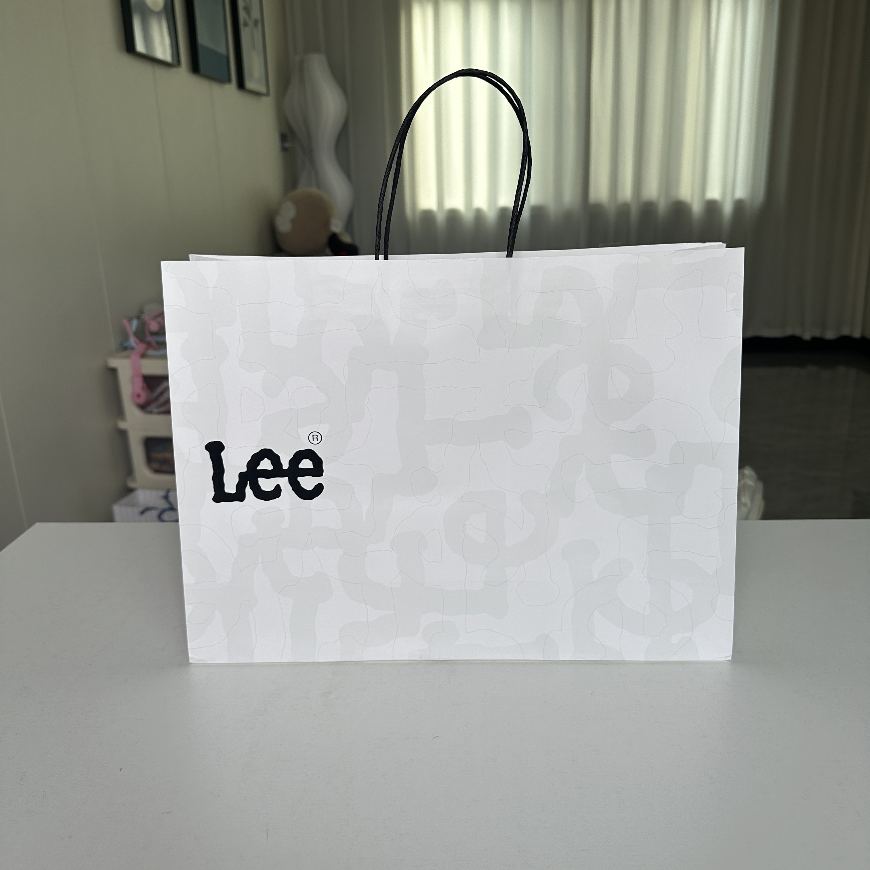 Lee纸袋礼品袋 鞋服购物袋羽绒服袋 柜台正品手提袋,淘宝优惠券,粉丝福利购,淘宝优惠卷