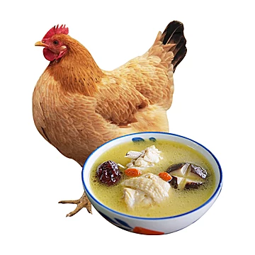 老母鸡农村土鸡新鲜鸡肉整只农家直发礼盒装[5元优惠券]-寻折猪
