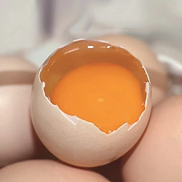 云依禾农庄正宗土鸡蛋30枚农家散养新鲜[6元优惠券]-寻折猪